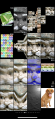 Thumbnail for version as of 04:26, 21 November 2024
