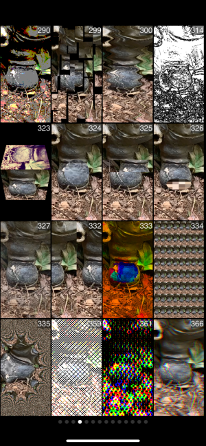 Megaphoto page4.PNG