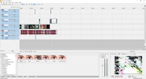 Vegas5 interface.png
