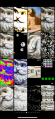 Thumbnail for version as of 04:26, 21 November 2024