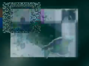 Mycromcmangos.png