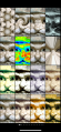 Thumbnail for version as of 04:25, 21 November 2024