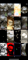 Thumbnail for version as of 04:26, 21 November 2024